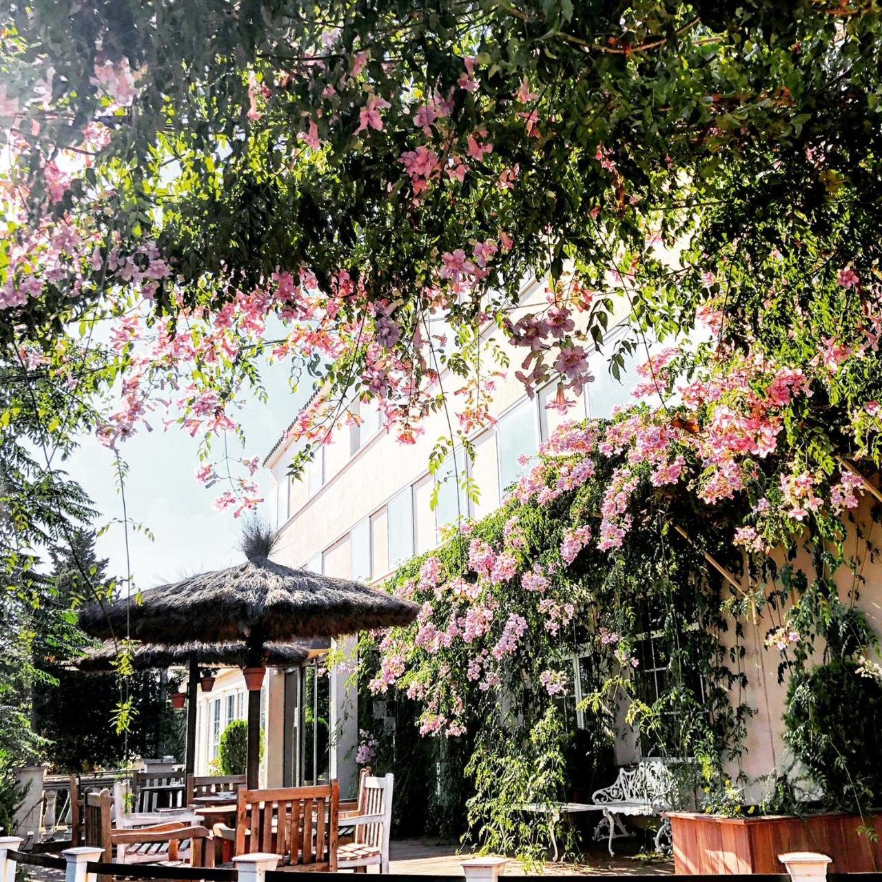 Hotel & Restaurant Figueres Parc Los Hostalets de Llers Eksteriør bilde